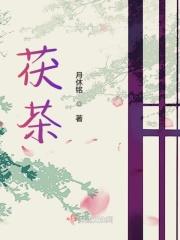 茯茶镇有什么好玩的